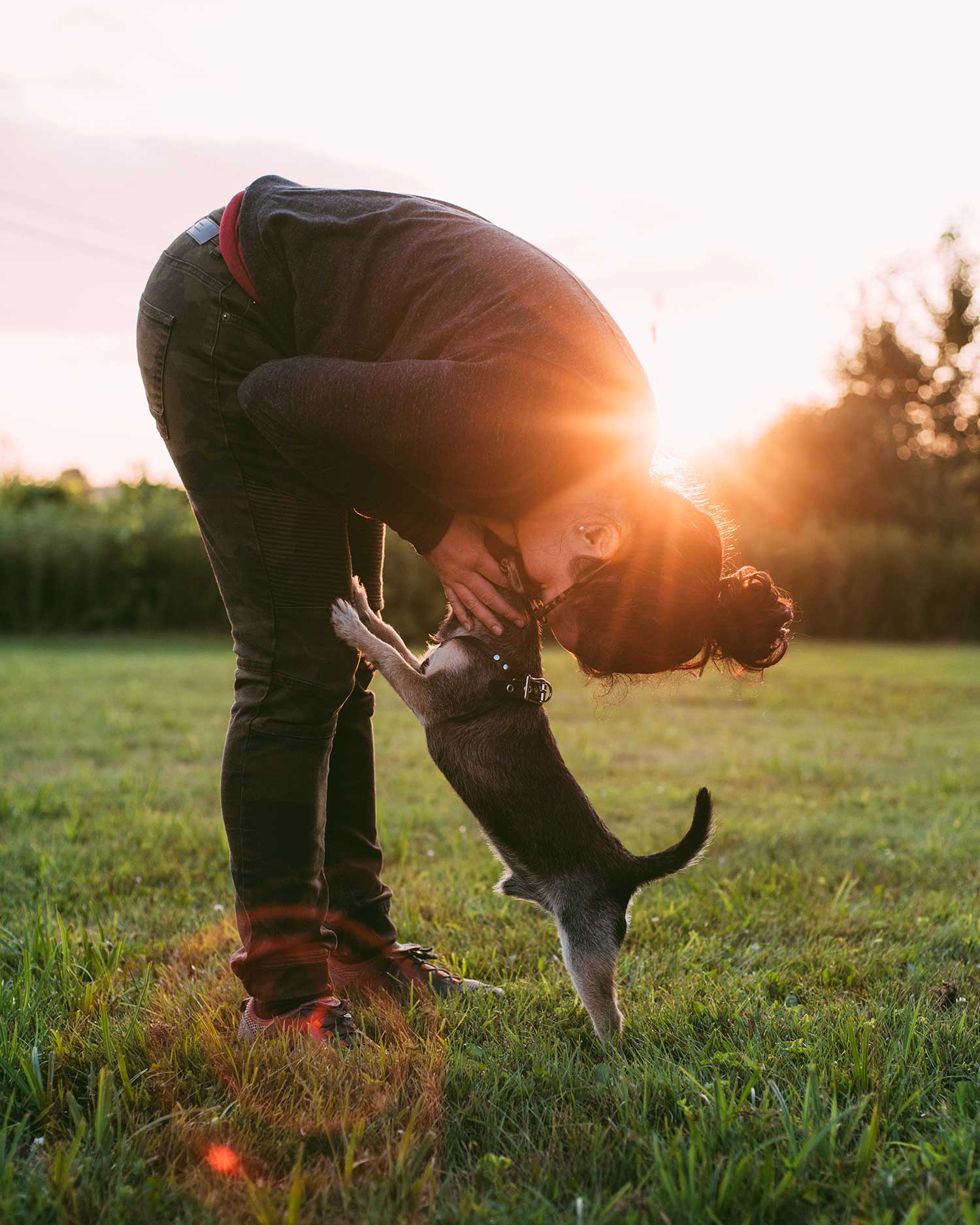 Clearview Counselling and Consulting, Human-animal interactions