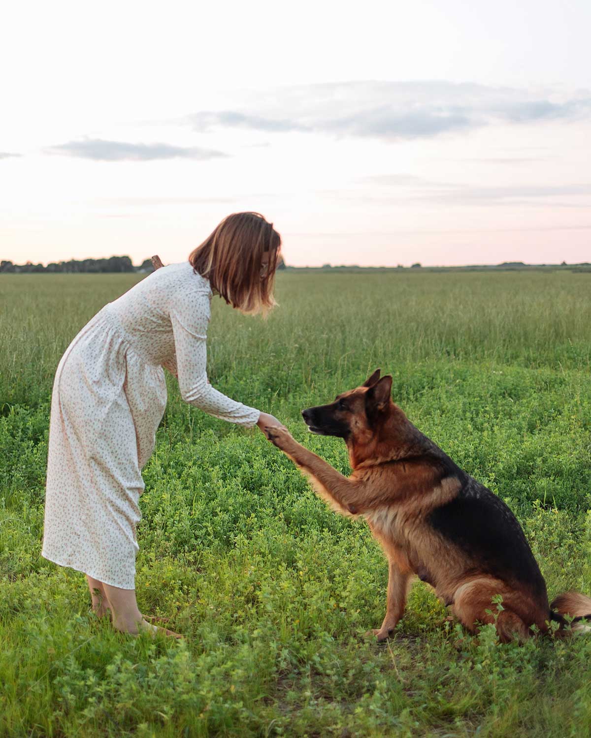 Clearview Counselling and Consulting, Human-animal interactions